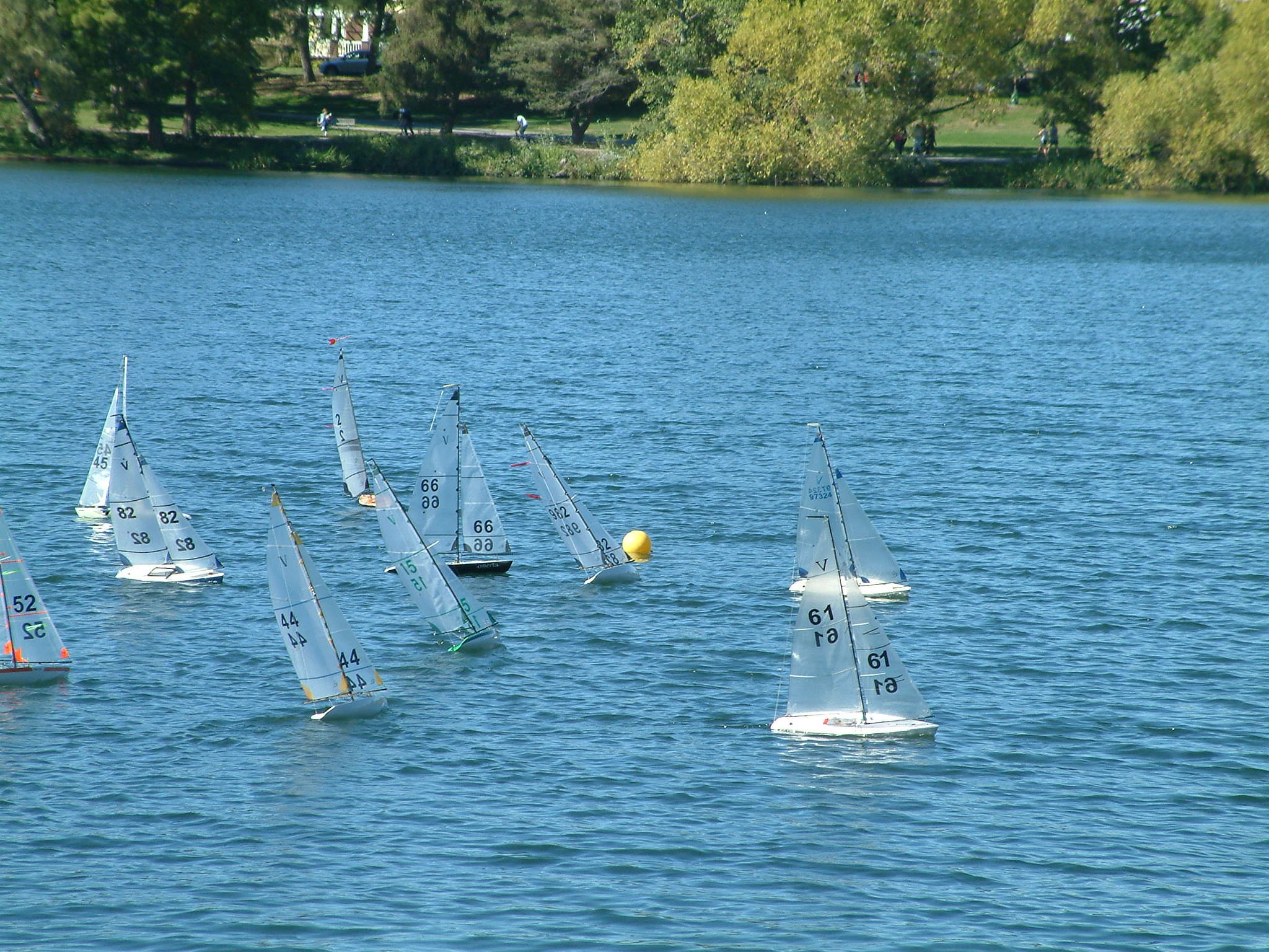 seattle model yacht club