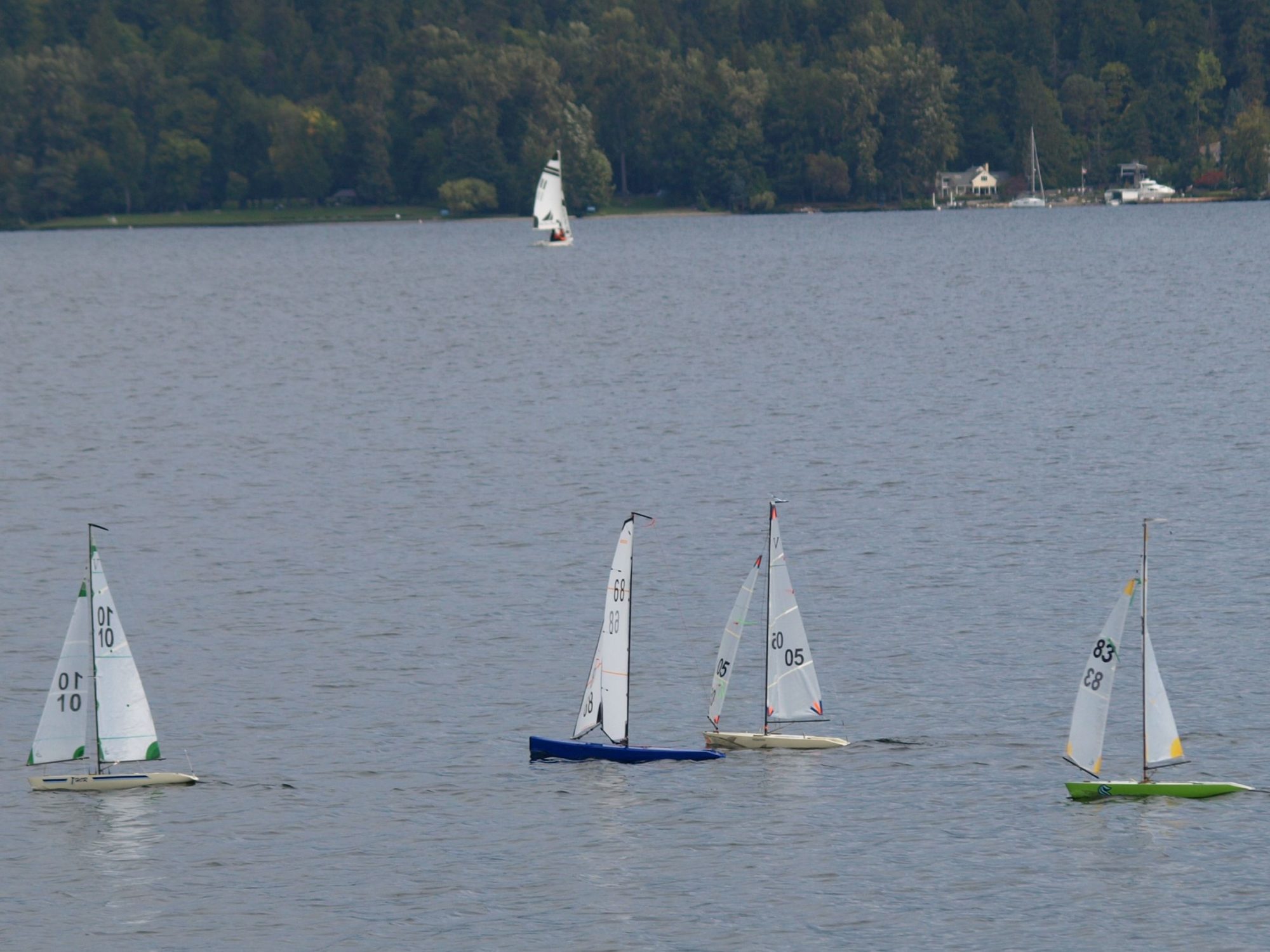 eastbourne model yacht club